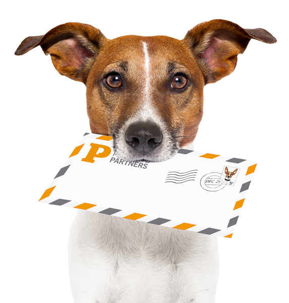 Printing Partners Mailing Dog