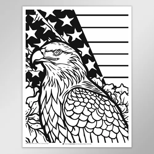 Patriotic Bald Eagle and Stars Coloring Page