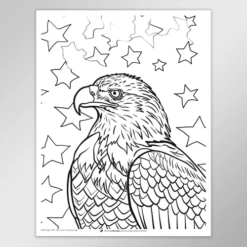 A bald eagle and stars for a patriotic coloring activity.