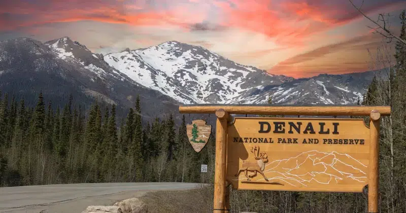 Denali National Park