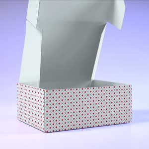 Packaging YouTube Thumbnail